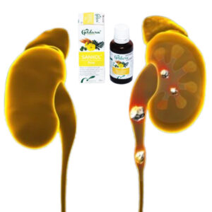 قطرات سانكول العشبية في الإمارات
