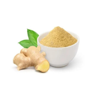 Fresh Dried Ginger Powder