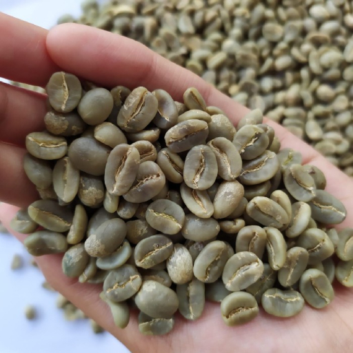 Fresh Green Coffee Nicaragua Raw ( 250gm )