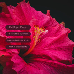 Hibiscus Face Pack Powder