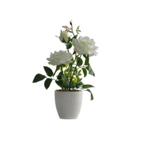 Artificial White Rose Flower With Square Pot For Home Décor